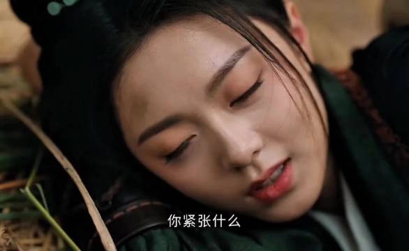 度华年好看