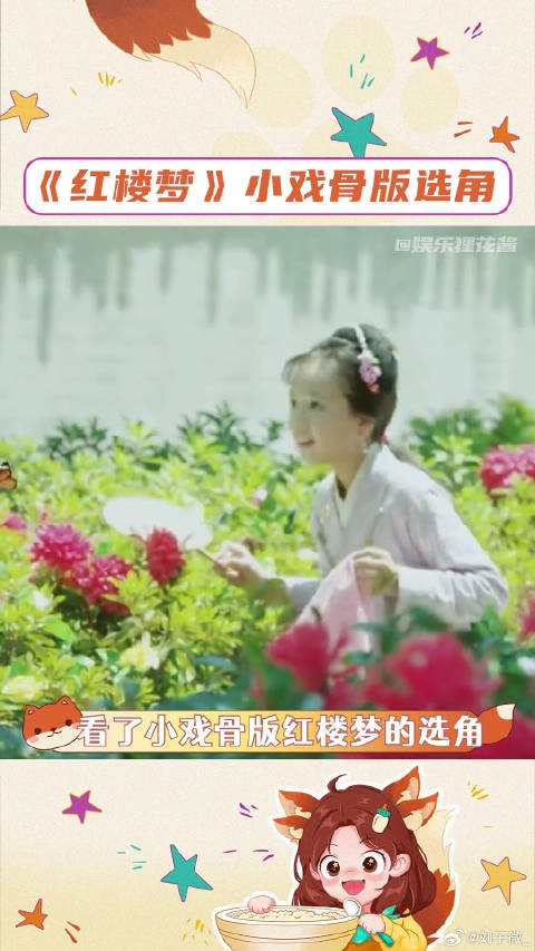 红楼梦 颜值 微博VC计划