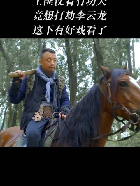 士匪仗着有功夫竞想打劫李云龙这下有好戏看了
