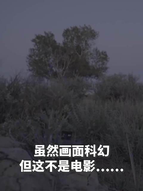 激光炮灭蚊场景科幻感拉满