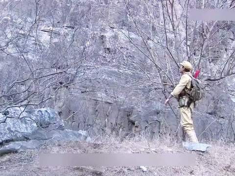 千年古墓机关重重，剿匪小队能否安全通过