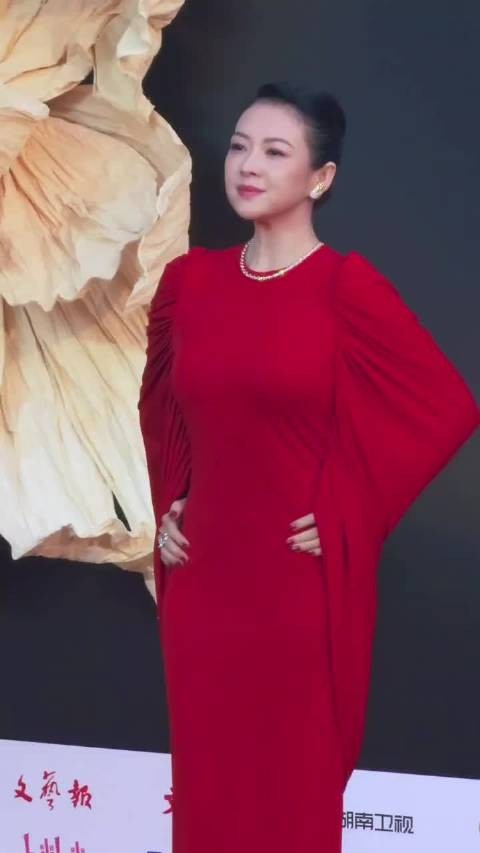真的不知道汪峰是怎么想的, 老婆是章子怡他都舍得离婚, 要是我…