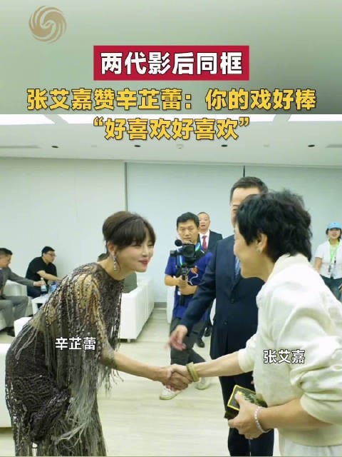 张艾嘉辛芷蕾两大影后同框