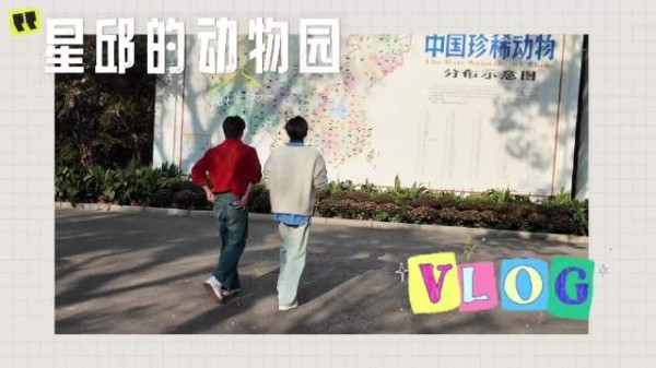 星星邱邱动物园vlog发布，一分钟精选视频扶持计划启动