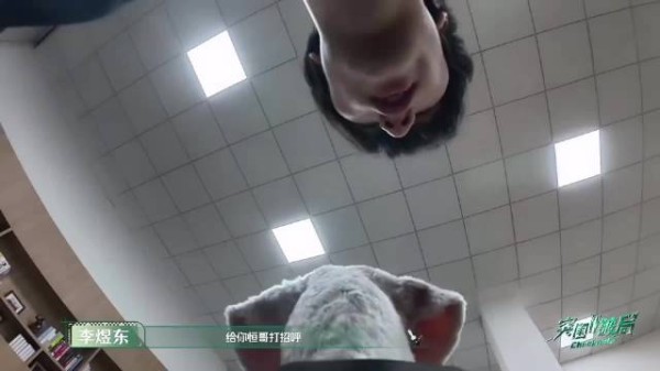 突突的第一视角视频， 跟着它看陈奕恒练舞、和李煜东互动， 全程软乎乎的