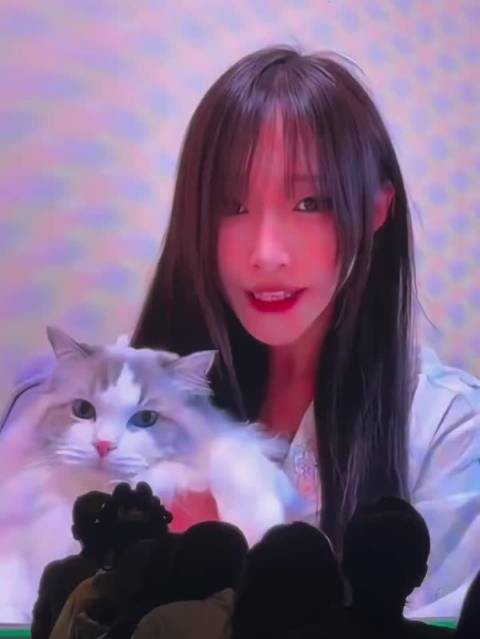 木瓜黄给晋江作者大会献祝福