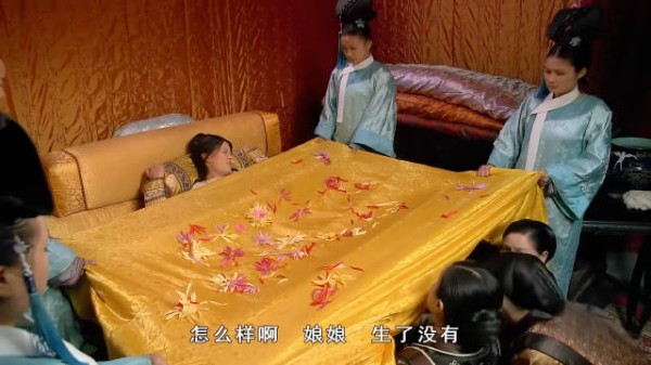 甄嬛被猫惊吓后惊动胎儿早产