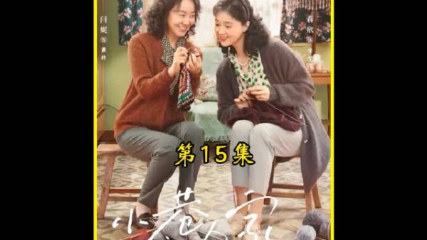 图南考上一中，皆大欢喜| 小巷人家15