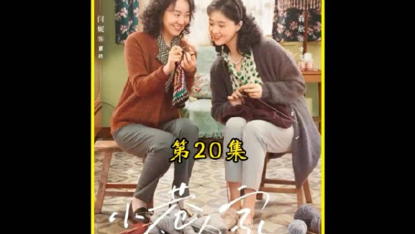 宋莹和栋哲真是亲母子，连讨好人的方式都如出一辙| 小巷人家20