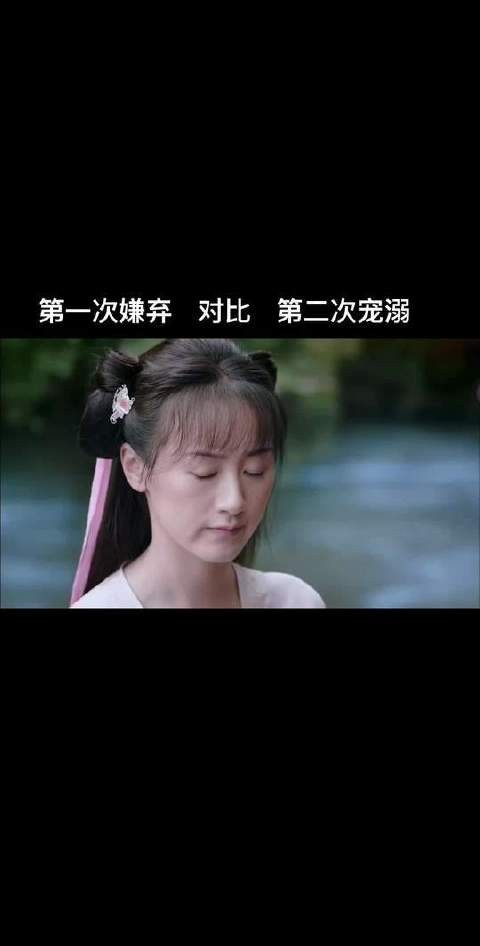 璇玑司凤四年之约