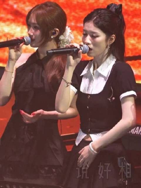 徐良合肥演唱会《无颜女》和声小姐姐直拍！