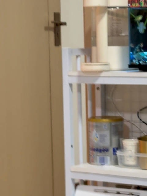 一起看鱼缸