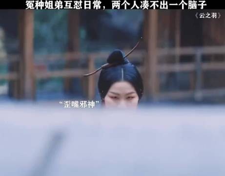 姐弟互怼日常，两个人凑不出一个脑子！