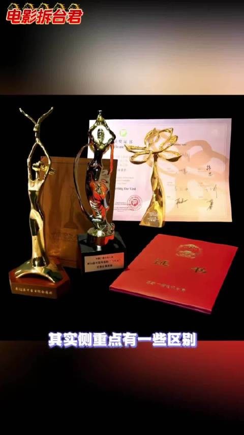 白玉兰奖飞天奖金鹰奖的区别！你觉得谁的含金量更高呢？！