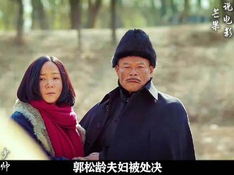 张作霖大开杀戒张老作相撒泼打滚力挽狂澜