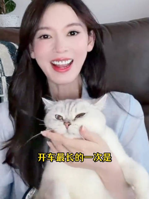 陈瑶独自开车17小时带猫咪去横店