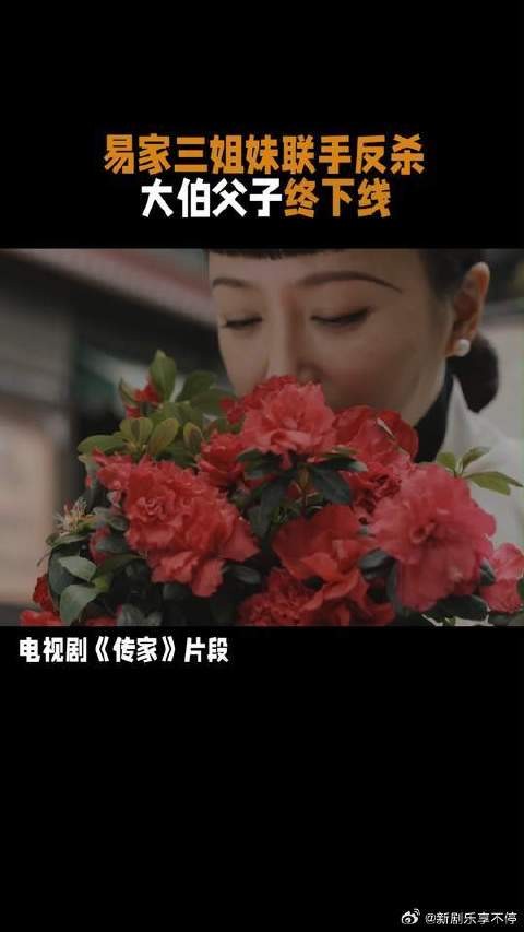 传家的女人没一个好惹 易家三姐妹联手便是最佳！