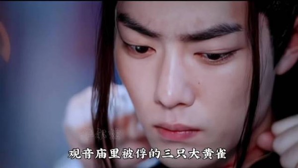 蓝二的心思只有在保护阿羡时才会无所顾忌 Cr logo