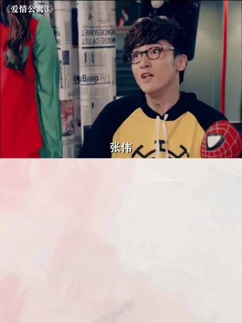 爱情公寓还是太超前了