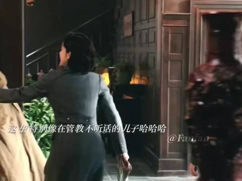 陈开来本想安稳谋生,却被金宝缠上,一路鸡飞狗跳,小人物的日常格外鲜活