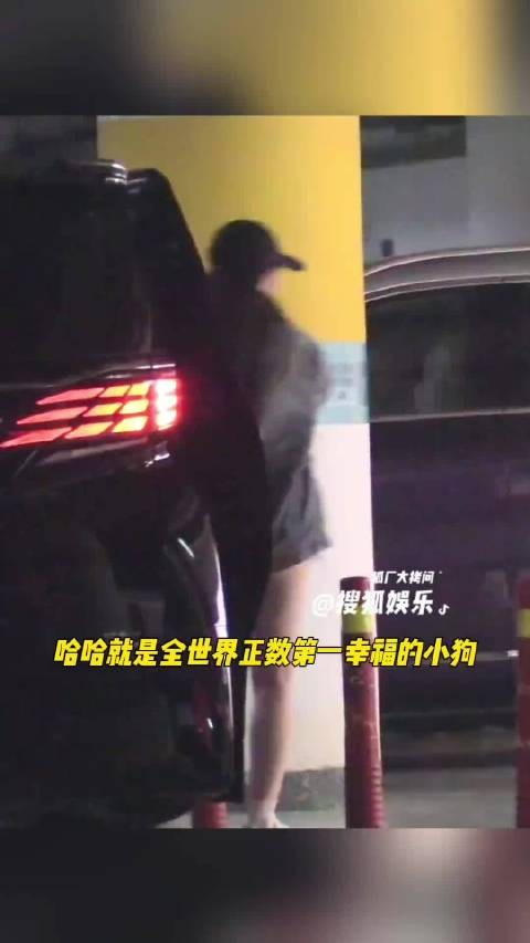 刘亦菲饭后送小狗去宠物店， 哈哈简直全世界正数第一幸福的小狗