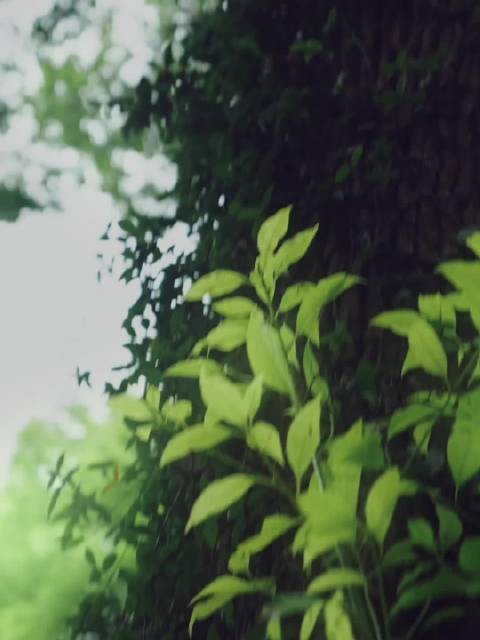 迪丽热巴vogue大片来了