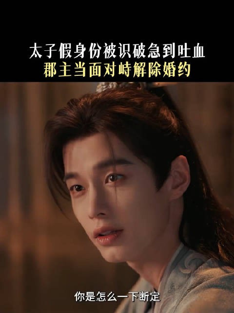 糟了，太子殿下被郡主识破掉马甲了有史以来第一位被自己气吐血的男主！