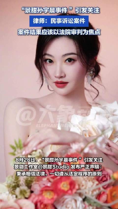景甜孙宇晨案不是谁小作文长谁有理 律师：案件的结果应该以法院审判为准