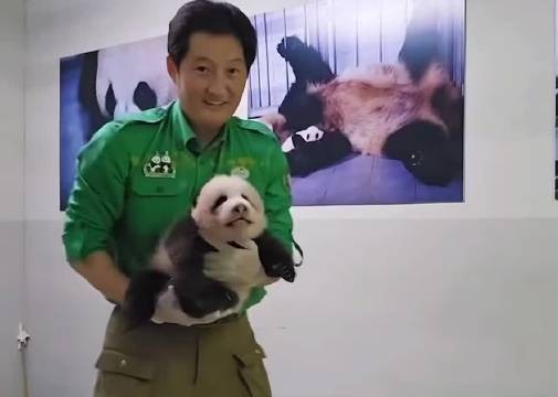 四公主佑宝小嘴哒哒哒，宋宝宠溺态佳
