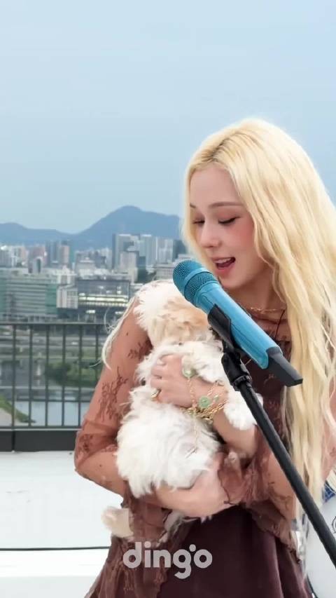 还未美容前的小拖把金啵妞陪妈妈上班