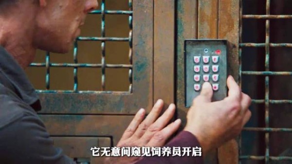 揭秘：猴子竟能记住管理员密码，动物园惊现超能力猴王！