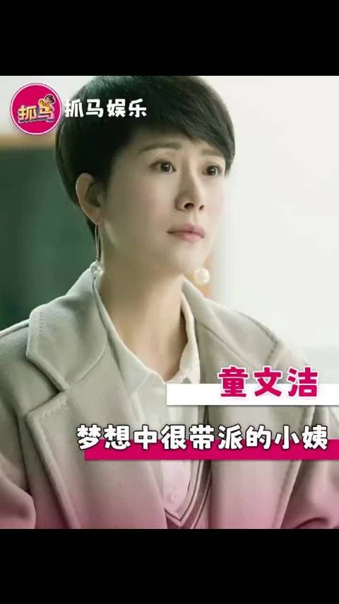 谁不想有个文洁这样小姨啊 小欢喜 童文洁 林磊儿 海清