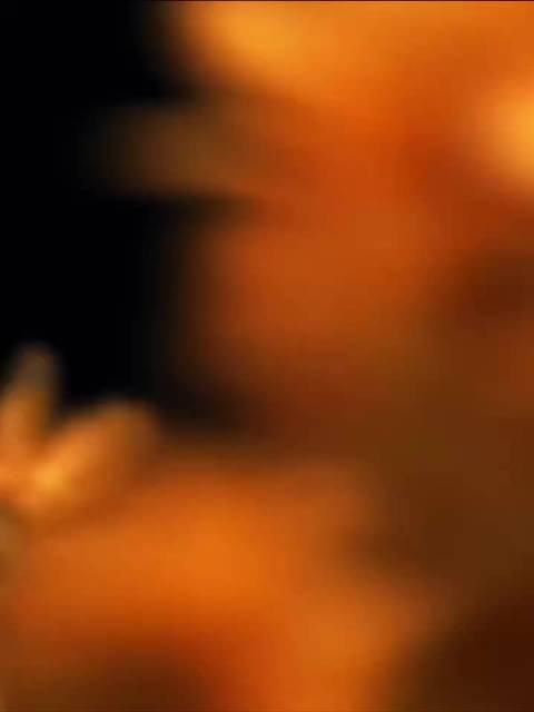 洪知秀ELLEMEN八月特别刊单人封面照预告发布
