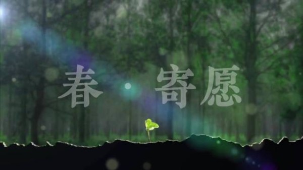 唱片集二周年献礼