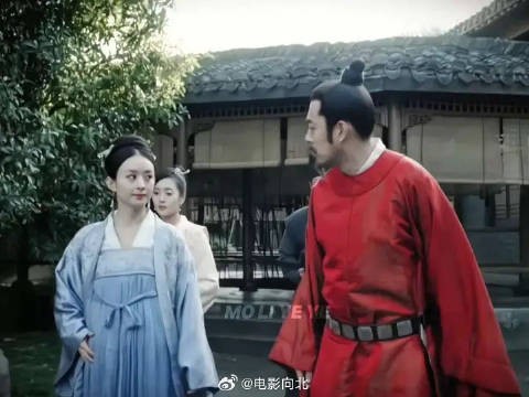 红狼的明兰观一直在刷新