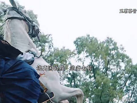 磕死了陆大人入赘了大姐姐嘴角压不住了
