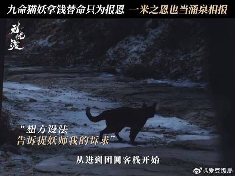 我不知道该怎么帮你，幸好我的命还有“价值”