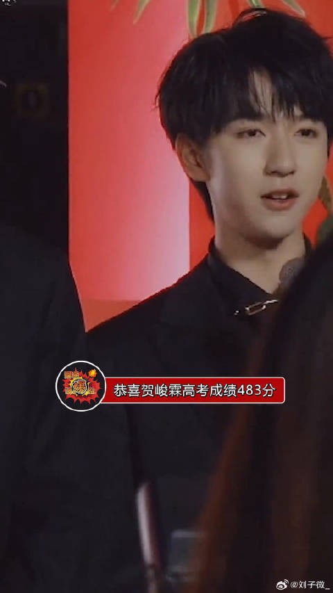 贺峻霖高考483分超省本科线17分,艺考中戏中传双七