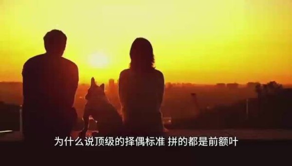 为什么说顶级的择偶标准拼的是前额叶