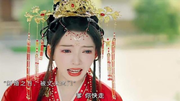 《复仇重生：她与他的双向守护》——当爱遇上恨，是宿命还是救赎？