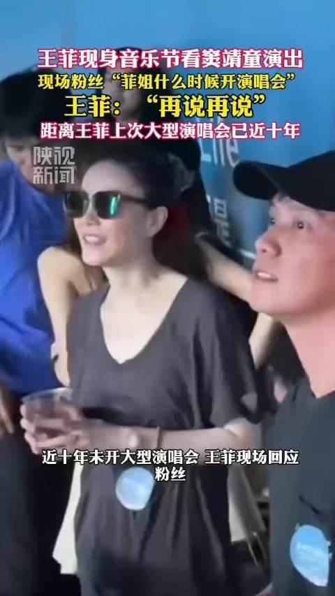 王菲回应演唱会再说再说