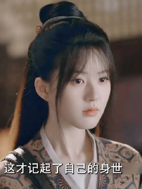 没想到越云岫才是真正的端午，现在的端午其实是燕子京的妹妹