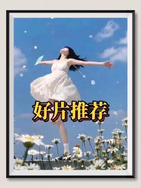 影视深度解析