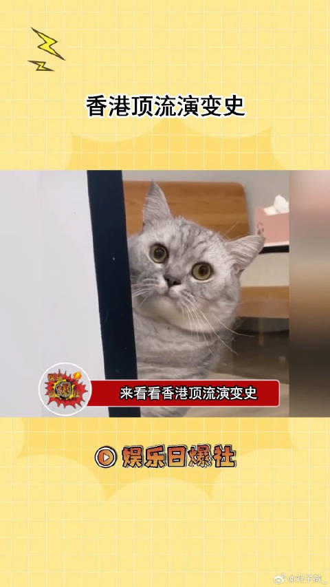 香港顶流演变史，以前的审美不是挺好的吗？