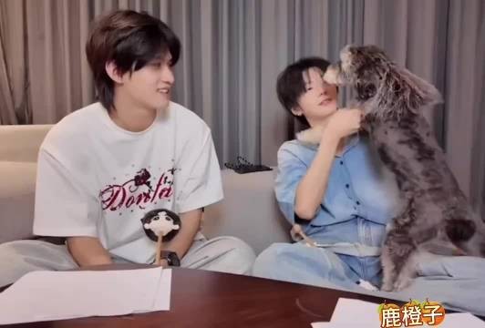 给小高羡慕坏了，至于是羡慕star有普普抱还是羡慕普普有star抱就不知道了