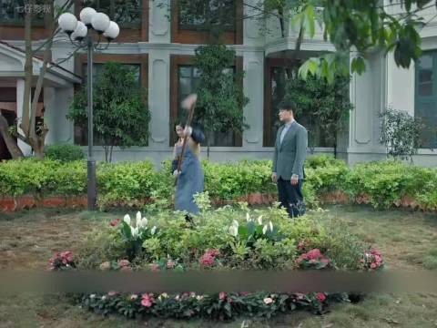 金灿烂把大姐的花园改为菜地种上土豆茄子却迎来了大丰收
