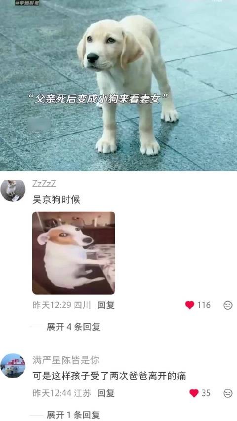 狗是人类最忠诚的朋友 再见，李可乐｜谭松韵｜闫妮｜吴京｜电影