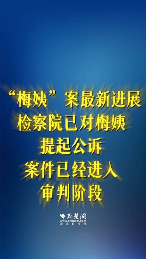 梅姨案最新进展检方已对梅姨提起公诉