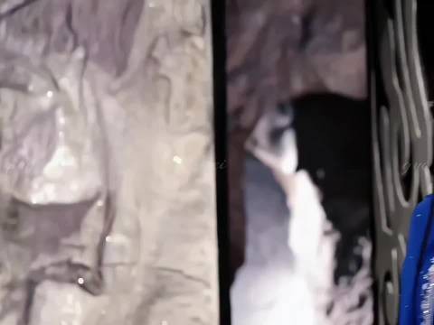 玉儿被小妈像毒蛇一样围剿