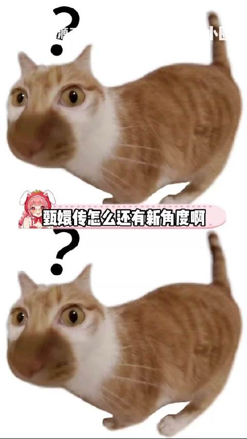 甄嬛传怎么还有新解读角度啊！甄嬛